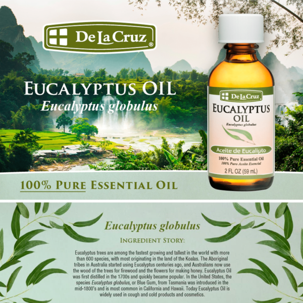 De La Cruz Eucalyptus Essential Oil for Aromatherapy Diffuser and Humidifier 2 fl oz - Image 3